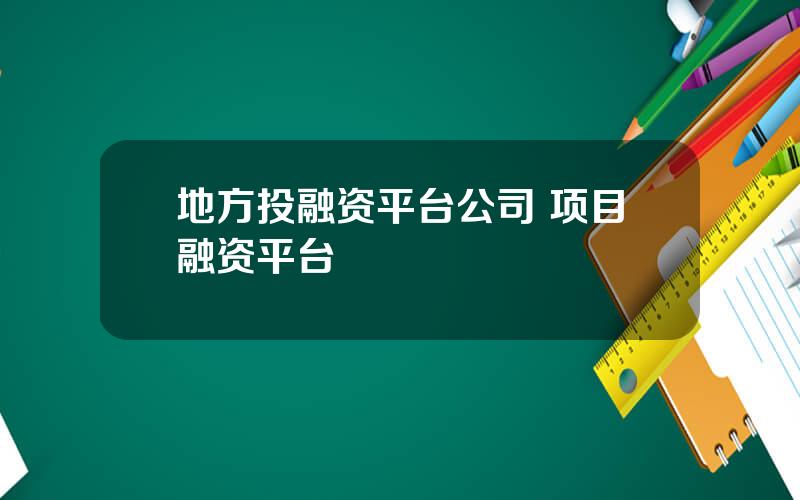 地方投融资平台公司 项目融资平台